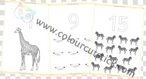 1 20 Count Zoo Animals Colouring Ccs Cover   Giraffe  HD Png Download