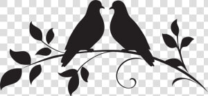 Dove Clipart Silhouette Love Birds Silhouette Png    Love Bird Clipart Black And White  Transparent Png