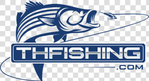 Th Fishing   Striper Fish Logo  HD Png Download