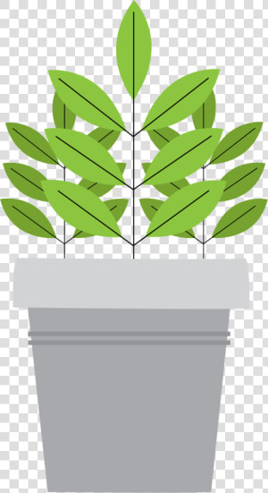 Flowerpot  HD Png Download