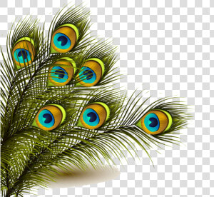 Peafowl Feather Clip Art   Peacock Feather Png  Transparent Png