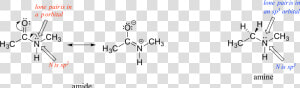 Resonance And Hybridization  HD Png Download