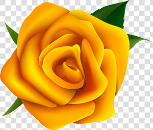 Yellow Rose Clipart Red Rose Outline   Yellow Rose Vector Png  Transparent Png