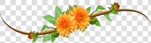 No Orange Clip Art   Orange Flower Clip Art  HD Png Download