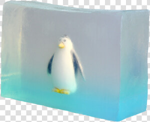 Penguin Title Penguin   Penguin  HD Png Download