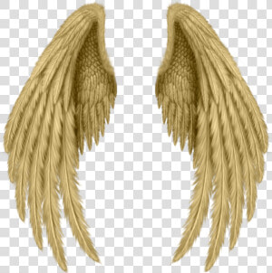  golden  wings  freetoedit   Realistic Angel Wings Drawing  HD Png Download