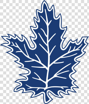 Toronto Maple Leafs Logo Png Transparent   Toronto Maple Leafs Vector  Png Download