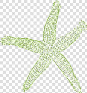 Starfish Svg Clip Arts   Navy Blue Starfish Clipart  HD Png Download