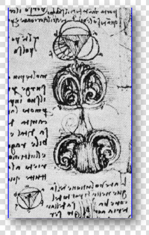 Early Drawings Of The Aortic Valve By Leonardo Da Vinci   Leonardo Da Vinci Aortic Valve  HD Png Download