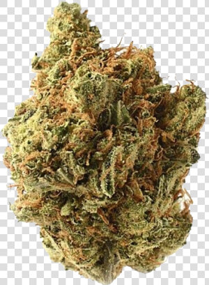 Amnesia Haze Amsterdam  HD Png Download