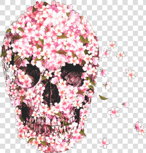 Flowers  Skull  And Pink Image   Skull Pink  HD Png Download