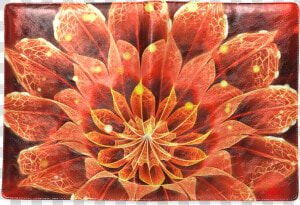 Fiery B5 Notebook Red Dahlia Fractal Flower With Beautiful  HD Png Download