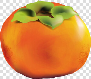 Persimmon Png   Persimmon  Transparent Png