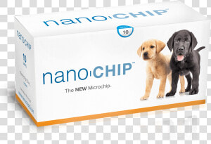 Nano Microchip  HD Png Download