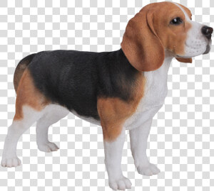 Beagle Png Download Image   Beagle Garden Ornament  Transparent Png