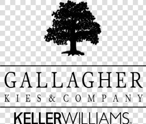 Gallagher Kies Kw Logo New Black   Oak  HD Png Download