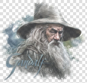 Gandalf Png  Transparent Png