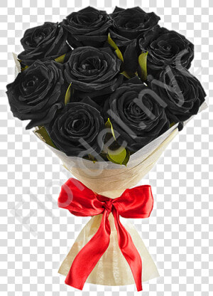 Black Roses With Red Bow   Garden Roses  HD Png Download