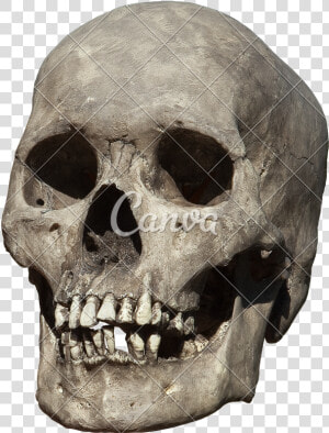 Clip Art Old Weathered Photos By   Old Human Skull Png  Transparent Png