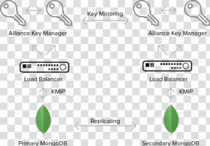 Mongodb Database Master Kmip  HD Png Download