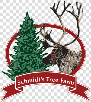 Schmidt S Tree Farm Logo   Christmas Tree  HD Png Download