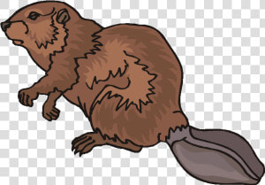 Top 80 Beaver Clip Art   Beaver Fur Trade Clipart  HD Png Download