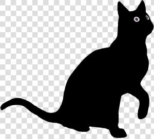 Cat Looking Up Silhouette   Cat Looking Up Clipart  HD Png Download