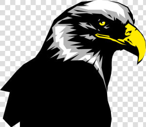 More In Same Style Group Golden Eagle    Golden Eagle  HD Png Download