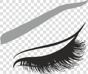 Eyelash Png   Картинки Png Ресницы  Transparent Png