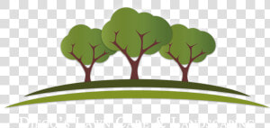 Tree And Landscaping Services Logos  HD Png Download