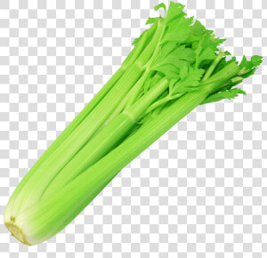 Transparent Celery Png   Celery Png  Png Download