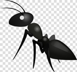 Transparent Ant Clipart   Ant Emoji  HD Png Download