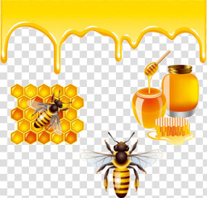 Transparent Honeybee Png   Honey Bees Bee Png  Png Download