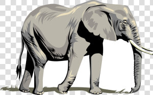 Elephant Free Elephants Images Clip Art On Transparent  HD Png Download