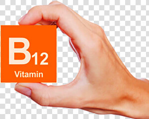 B12 Png Image   Vitamin B12 Deficiency Png  Transparent Png