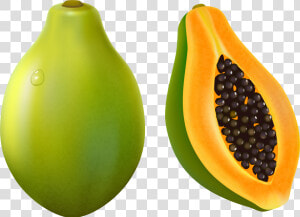 Papaya Clip Art  HD Png Download