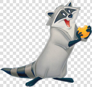 Meeko From Pocahontas  HD Png Download