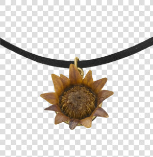 Choker Necklace With Blessing Flower   Locket  HD Png Download