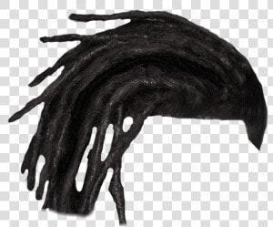  dreads  dreadlocks   Sketch  HD Png Download