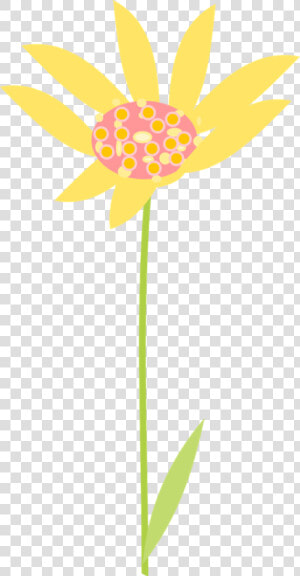 Free Scrap Flower Png S Flower Clipart Graphics Clipart   African Daisy  Transparent Png