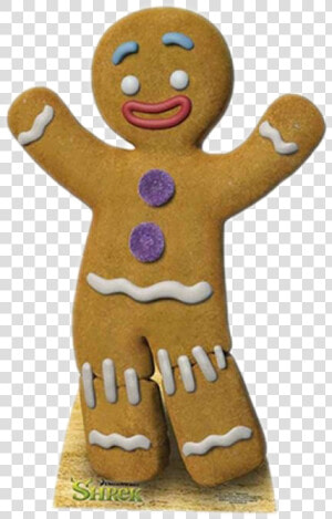 Gingerbread Man Png Photo   Gingerbread Man Shrek  Transparent Png