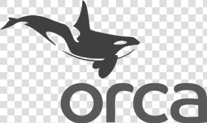 Orca   Orca Server  HD Png Download