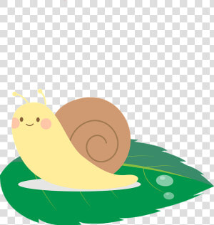 Snail Animal Clipart   Sea Snail  HD Png Download