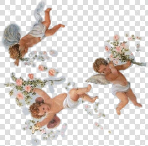  aesthetic  freetoedit  angel  angelaesthetic  aestheticangel   Aesthetic Baby Angels Png  Transparent Png