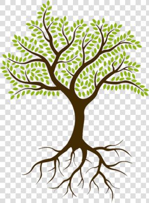 Culture Spark Was Started In 2015 By Sheryl Lyons    Tree With Roots No Background  HD Png Download