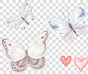 Watercolor Butterfly Fly Cartoon Hand painted Download   Watercolor Painting  HD Png Download