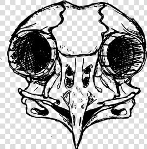 Owl Skull Drawing   Png Download   Owl Skull Drawing  Transparent Png