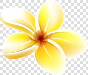 Tropical Flower Clipart  Havaianas  Art Pictures  Yandex   Frangipani  HD Png Download