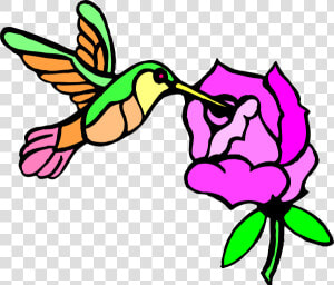 Draw Hummingbirds And Flower  HD Png Download