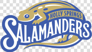 Hs Primary Without Baseball   Holly Spring Salamanders Logo  HD Png Download